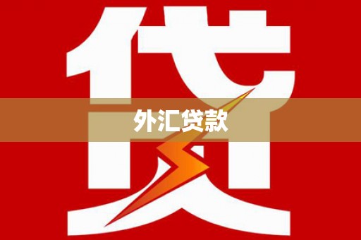 盐山外汇贷款