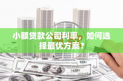 盐山小额贷款公司利率，如何选择最优方案？