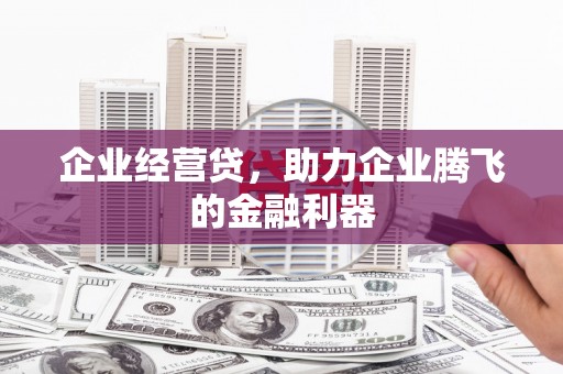 盐山企业经营贷，助力企业腾飞的金融利器