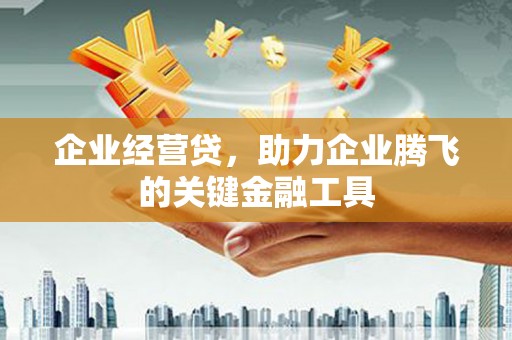 盐山企业经营贷，助力企业腾飞的关键金融工具