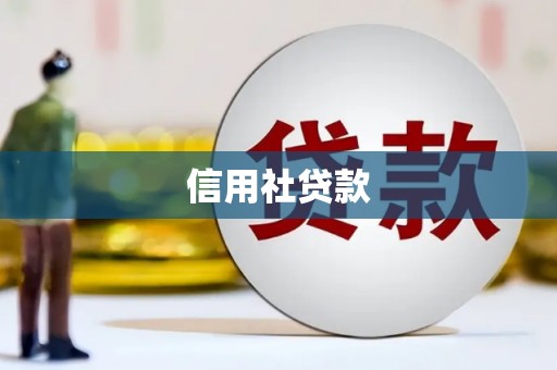 盐山信用社贷款