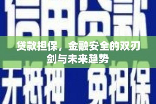 盐山贷款担保，金融安全的双刃剑与未来趋势