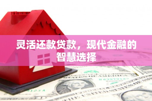 盐山灵活还款贷款，现代金融的智慧选择