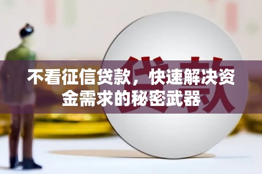盐山不看征信贷款，快速解决资金需求的秘密武器