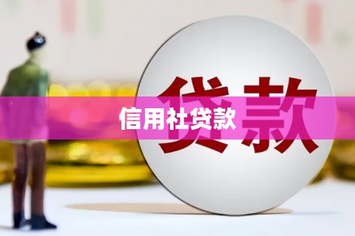 盐山信用社贷款