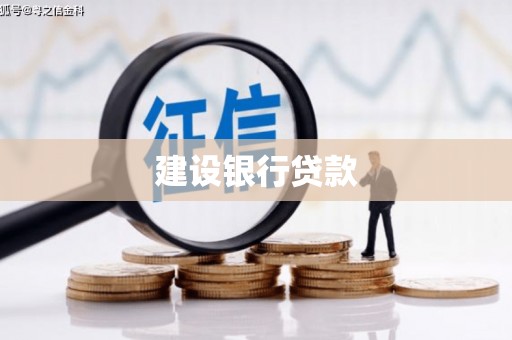 盐山建设银行贷款
