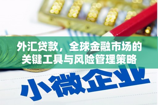 盐山外汇贷款，全球金融市场的关键工具与风险管理策略
