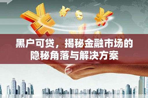 盐山黑户可贷，揭秘金融市场的隐秘角落与解决方案