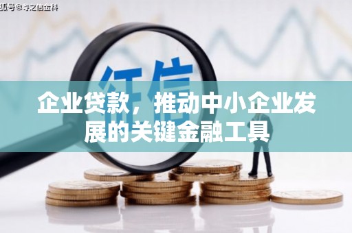 盐山企业贷款，推动中小企业发展的关键金融工具