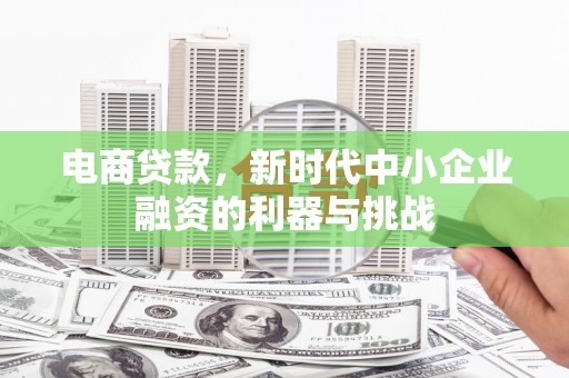 盐山电商贷款，新时代中小企业融资的利器与挑战