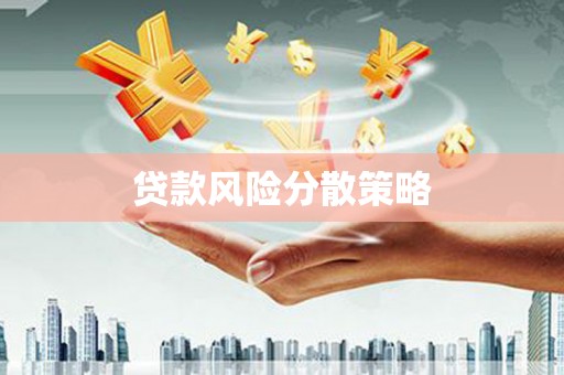 盐山贷款风险分散策略