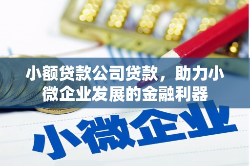 盐山小额贷款公司贷款，助力小微企业发展的金融利器
