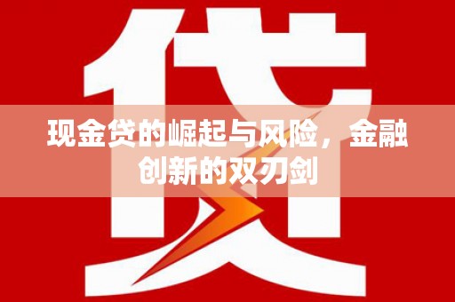 盐山现金贷的崛起与风险，金融创新的双刃剑