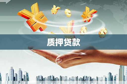 盐山质押贷款