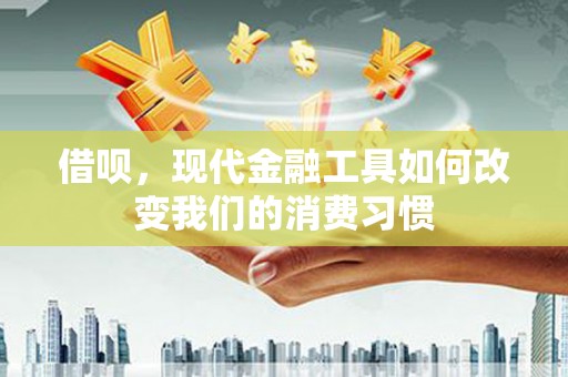 盐山借呗，现代金融工具如何改变我们的消费习惯