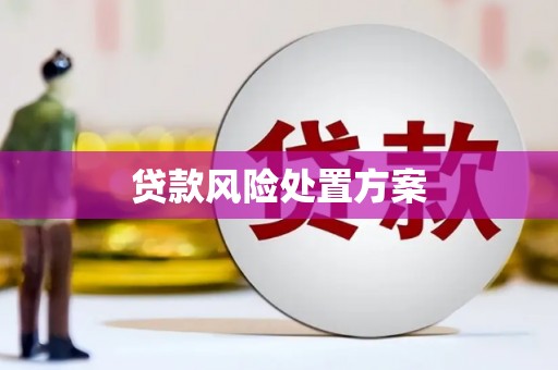 盐山贷款风险处置方案