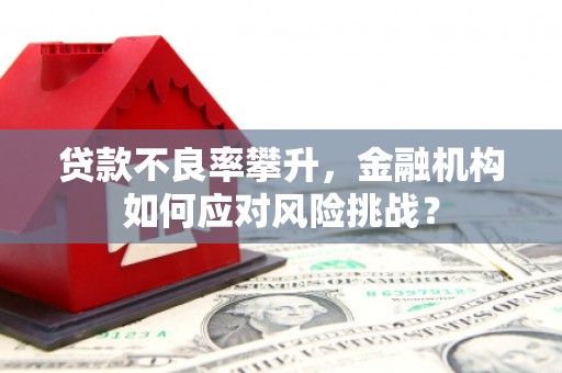 盐山贷款不良率攀升，金融机构如何应对风险挑战？