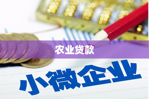 盐山农业贷款