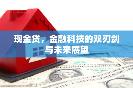 盐山现金贷，金融科技的双刃剑与未来展望