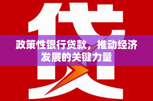 盐山政策性银行贷款，推动经济发展的关键力量