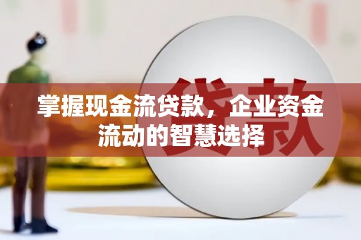 盐山掌握现金流贷款，企业资金流动的智慧选择