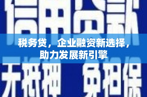 盐山税务贷，企业融资新选择，助力发展新引擎