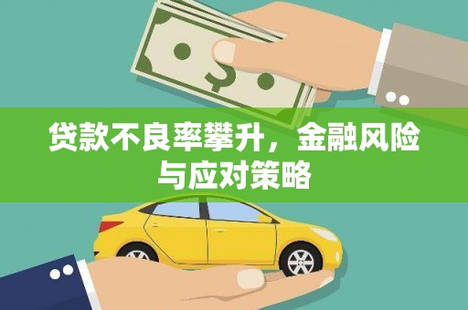 盐山贷款不良率攀升，金融风险与应对策略
