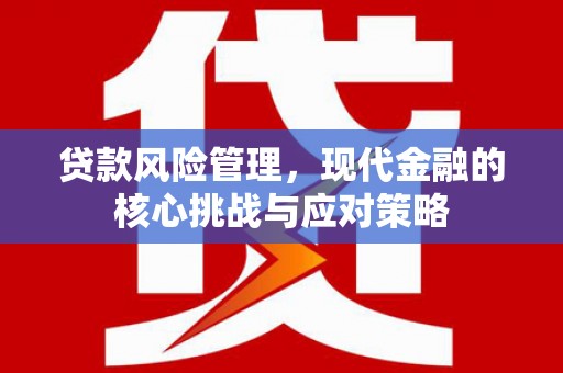 盐山贷款风险管理，现代金融的核心挑战与应对策略