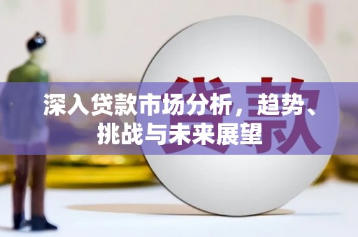 盐山深入贷款市场分析，趋势、挑战与未来展望