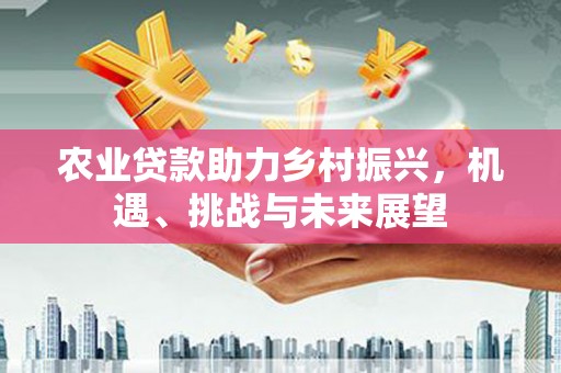 盐山农业贷款助力乡村振兴，机遇、挑战与未来展望
