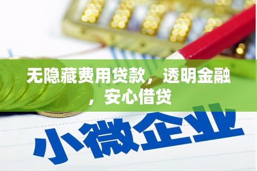 盐山无隐藏费用贷款，透明金融，安心借贷