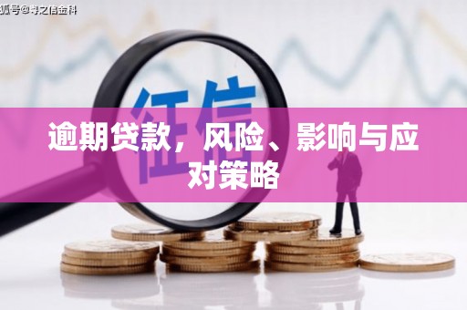 盐山逾期贷款，风险、影响与应对策略