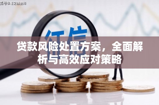 盐山贷款风险处置方案，全面解析与高效应对策略