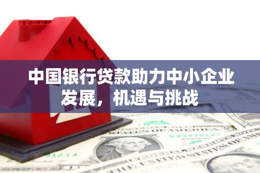 盐山中国银行贷款助力中小企业发展，机遇与挑战