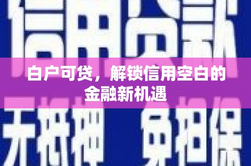 盐山白户可贷，解锁信用空白的金融新机遇