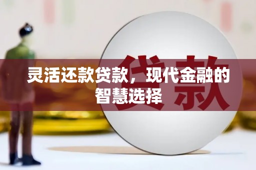 盐山灵活还款贷款，现代金融的智慧选择