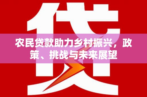 盐山农民贷款助力乡村振兴，政策、挑战与未来展望