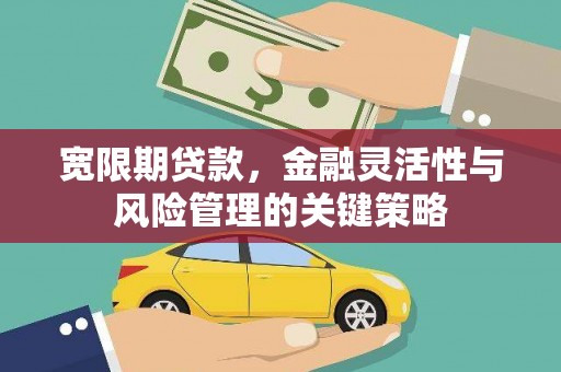 盐山宽限期贷款，金融灵活性与风险管理的关键策略