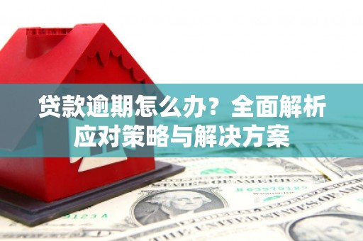 盐山贷款逾期怎么办？全面解析应对策略与解决方案
