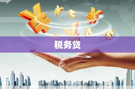 盐山税务贷