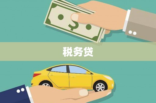 盐山税务贷
