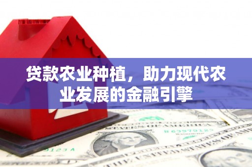 盐山贷款农业种植，助力现代农业发展的金融引擎