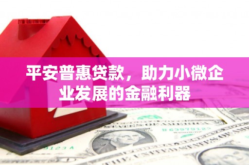 盐山平安普惠贷款，助力小微企业发展的金融利器