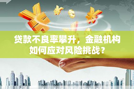 盐山贷款不良率攀升，金融机构如何应对风险挑战？