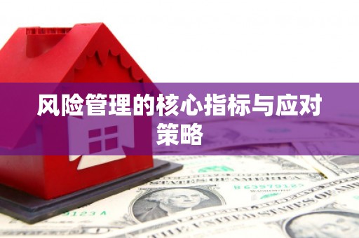 盐山风险管理的核心指标与应对策略