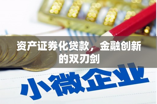 盐山资产证券化贷款，金融创新的双刃剑