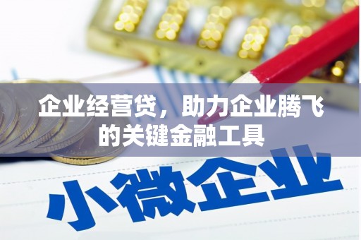 盐山企业经营贷，助力企业腾飞的关键金融工具