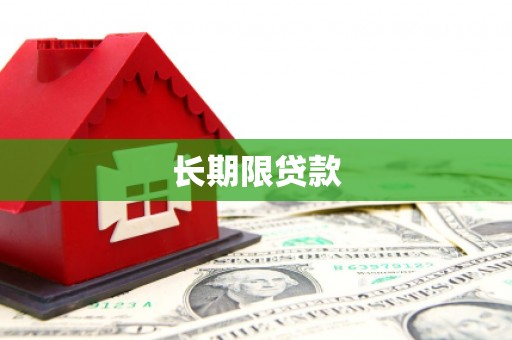 盐山长期限贷款