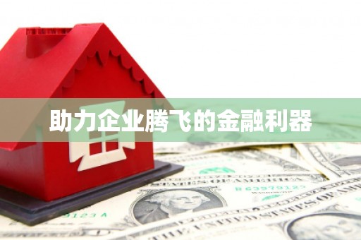 盐山助力企业腾飞的金融利器
