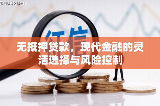 盐山无抵押贷款，现代金融的灵活选择与风险控制